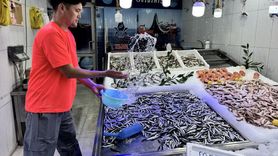 Hamsi Avında Erken Bereket