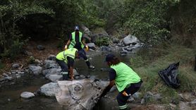 Hatay'da Kum Zambakları ve Deniz Kaplumbağaları İçin Temizlik Çalışmaları