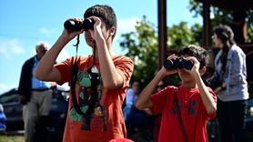 İstanbul'da Yırtıcı Kuşlar Gözlemlendi