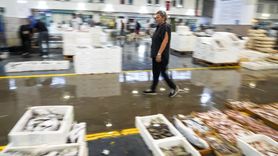 Kadın Tüccar Deniz Olataş, Balıkçılıkta Fark Yaratıyor