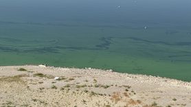 Kahramanmaraş'ta Sır Barajı'nda Balık Ölümleri İnceleniyor