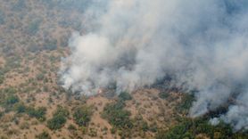 Karabük'teki Orman Yangınına Yoğun Müdahale Devam Ediyor