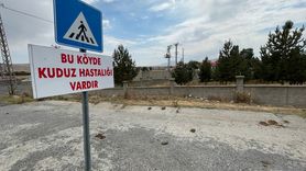 Kars'ta Kuduz Karantinası Uygulaması Başlatıldı