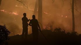 Kaş İlçesinde Orman Yangını Kontrol Altına Alındı