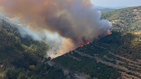 Kepsut'ta Kaza Sonrası Orman Yangınına Müdahale