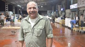 Kocaeli'de 2023 Balık Mezadası Başladı