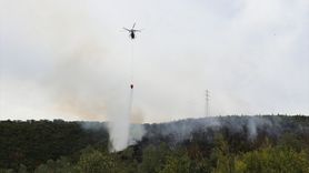 Kocaeli'de Orman Yangını Kontrol Altında