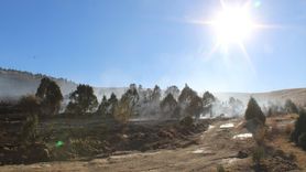 Konya'da Orman Yangını: 40 Dönüm Alan Zarar Gördü