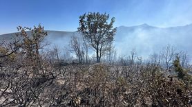 Konya'da Orman Yangını Kontrol Altına Alınıyor