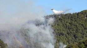 Köyceğiz'de Orman Yangınına Müdahale Devam Ediyor