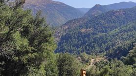 Manisa'da Uçuruma Düşen İş Makinesinin Operatörü Hayatını Kaybetti