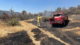 Mardin'de Orman Yangını Kontrol Altına Alındı