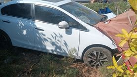 Mersin'de Zeytin Toplayan İşçilere Otomobil Çarptı: 1 Ölü, 3 Yaralı