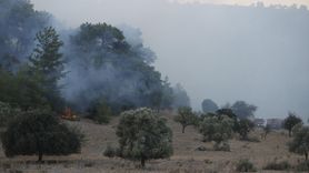 Milas'ta Orman Yangınına Hızla Müdahale Ediliyor