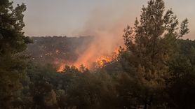 Milas'taki Orman Yangınına Müdahale Devam Ediyor
