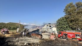 Muğla'da Kereste Deposu Yangını