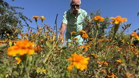 Nevşehir'in Renkli Pala'sı Nureddin Ortaçal