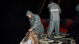 Ordu'da Balıkçılar Sezona Vira Bismillah Dedi