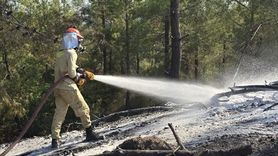 Osmaniye'deki Orman Yangını Kontrol Altına Alındı