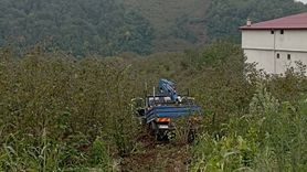Samsun'da Kamyonet Fındık Bahçesine Yuvarlandı, 3 Yaralı