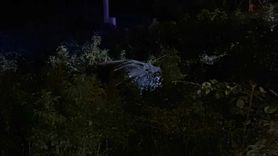 Samsun'da Yoldan Çıkan Araçta Üç Yaralı