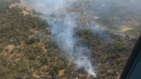 Şırnak'ta Orman Yangınına Hızla Müdahale Ediliyor