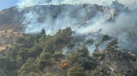 Söke'de Orman Yangınına Müdahale