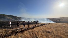 Tokat'ta Orman Yangını: 2 Hektar Alan Zarar Gördü