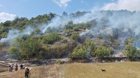 Tokat'ta Orman Yangını Kontrol Altına Alındı