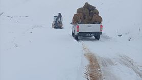 Trabzon’da Kar Yağışı Sonrası 8 Kişi Kurtarıldı