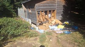 Uludağ'da Ayı Barakaya Saldırdı