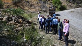 Van'da 334 Küçükbaş Hayvan Telef Oldu