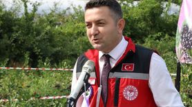 Yalova'da Aronya Hasadı Coşkuyla Başladı