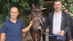 16. Manavgat-Side Geleneksel Rahvan At Yarışları