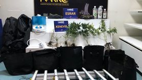 Adana'da Kenevir Yetiştiren Zanlı Tutuklandı