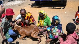 Adana'dan Madagaskar'a Yardım Eli