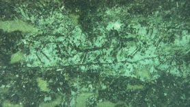 Adıyaman'da Paleolitik Dönem Kaya Resimleri Su Altında Keşfedildi