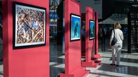 Akdeniz'de Nesli Tehlike Altında Olan Türler Sergisi Ankara'da Açıldı