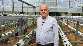 Antalya'da Kadın Çiftçiler Günü Kutlaması