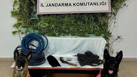 Artvin'de Uyuşturucu Ticareti Yapan Bir Zanlı Tutuklandı