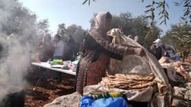 Batı Şeria'da Zeytin Hasadı ve Saldırılar