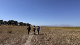 Beyşehir Gölü'nde Kuraklık Nedeniyle Ada Sayısı Artıyor