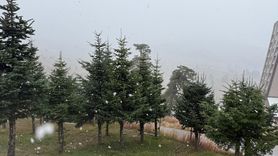 Bolu'nun Yüksek Kesimlerinde Kar Yağışı Rapor Edildi