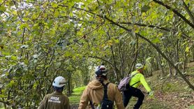 Düzce'de Kaybolan Kişi İçin Arama Kurtarma Faaliyetleri Başlatıldı
