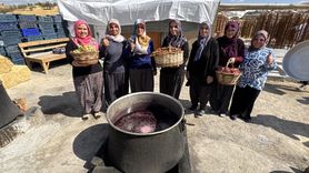 Elazığ'ın Orcik Üretimi Başladı