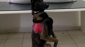 Erzurum'da Uyuşturucu Operasyonu: 32 Kilo Ele Geçirildi