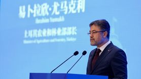 Gıda Güvenliği, Uluslararası Sorumluluk