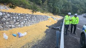 İnegöl'de Hayvan Yemi Yüklü Tır Devrildi: 2 Yaralı