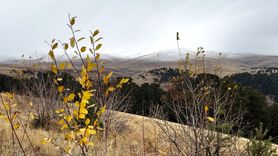 Kars'ın Sarıkamış ilçesinde kar yağışı etkili oldu