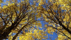 Kars'ın Sonbahar Güzellikleri